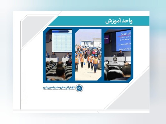 از توسعه مهارتهای تجاری تا آموزش تابآوری اقتصادی