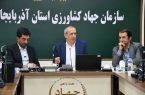 کشاورزی آذربایجانشرقی در مسیر سرمایهگذاری؛ خرید گندم از مرز ۳۳۰ هزار تن گذشت