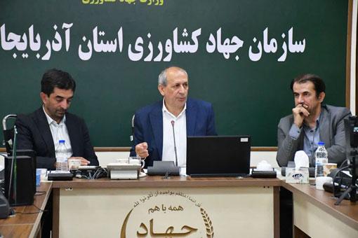 کشاورزی آذربایجانشرقی در مسیر سرمایهگذاری؛ خرید گندم از مرز ۳۳۰ هزار تن گذشت