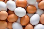معمای تخم مرغ ۶۰۰ هزار تومانی