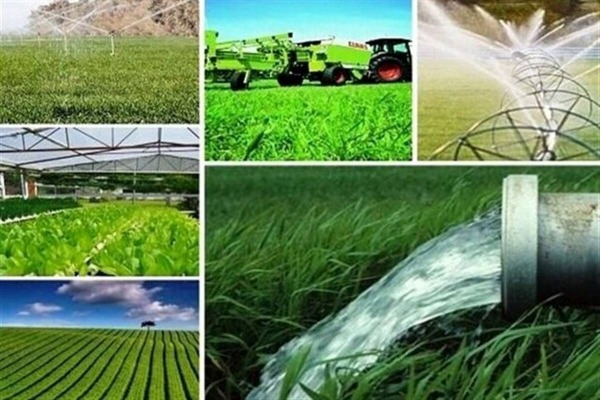 از ۱۱۲ به ۱۴۰ پروژه؛ شتاب فعالیتهای تحقیقاتی کشاورزی در آذربایجان شرقی