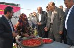 تبریز میزبان طعم‌های اصیل ارسباران ؛ نخستین جشنواره استانی «زغال‌اخته و سماق» در تبریز افتتاح شد