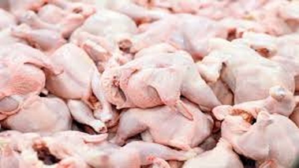 کشف و ضبط چهار تن خمیر مرغ و مرغ تاریخ گذشته در آذربایجان شرقی