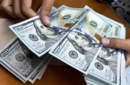 قیمت دلار، یورو و انواع ارزها امروز ۳۱ شهریور ۱۴۰۵/ دلار ۲۳۵ هزار تومان شد