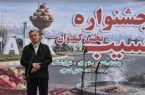 توسعه درجهبندی و بستهبندی، لازمه اقتصادیتر شدن تولید سیب میانه