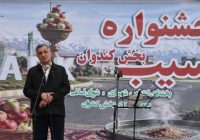 توسعه درجه‌بندی و بسته‌بندی، لازمه اقتصادی‌تر شدن تولید سیب میانه