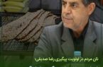 نان مردم در اولویت پیگیری رضا صدیقی؛ از تامین ۱۵۰ هزار تن گندم تا بازنگری سهمیه آرد